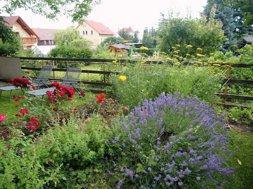 Ferienwohnung Markert Blankenburg  Kültér fotó