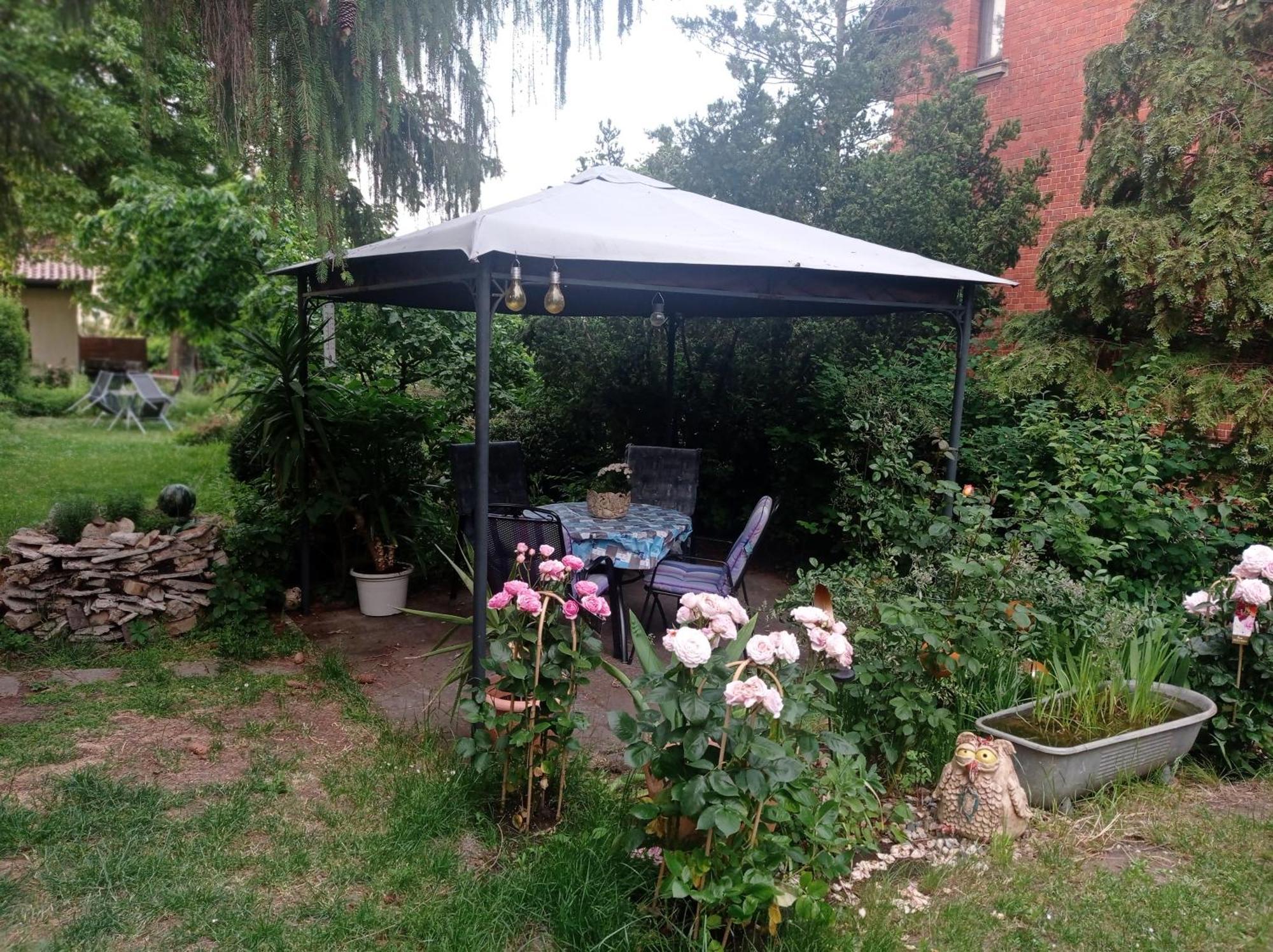 Ferienwohnung Markert Blankenburg  Szoba fotó